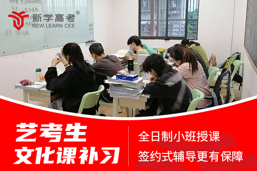 樂山高三歷史培訓(xùn)輔導(dǎo)效果如何?高三歷史課外輔導(dǎo)效果好嗎